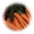 Zanahorias